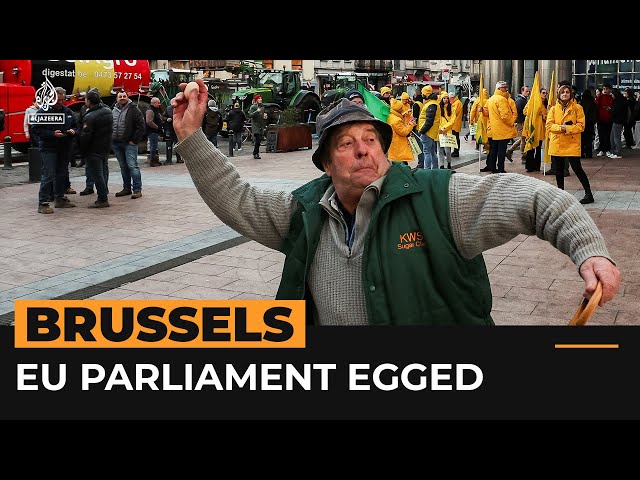 EU Parliament building egged by farmers | #AJshorts