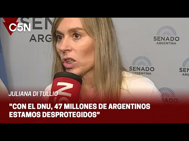 JULIANA DI TULLIO: "Con el DNU, 47 MILLONES de ARGENTINOS estamos DESPROTEGIDOS"