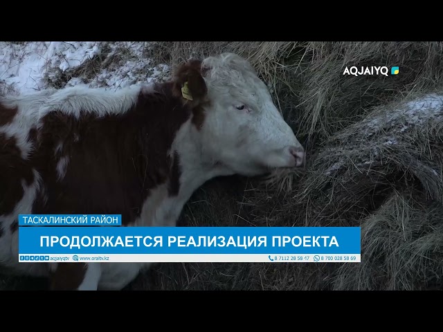 ⁣ПРОДОЛЖАЕТСЯ РЕАЛИЗАЦИЯ ПРОЕКТА