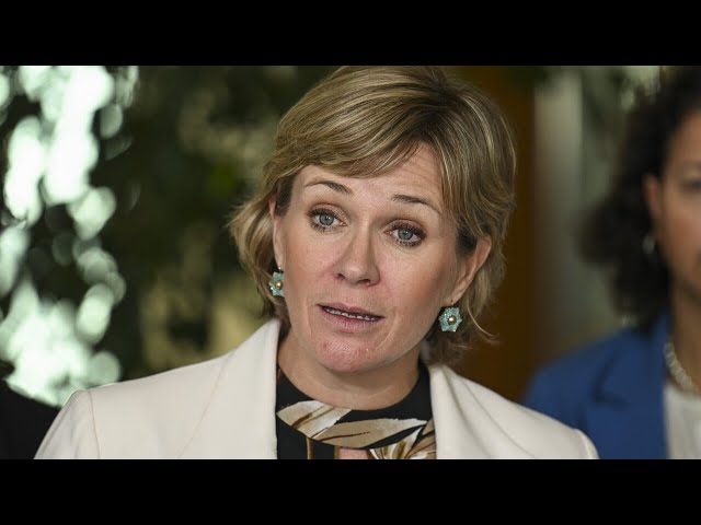 ‘No shortage of public fields’: Zali Steggall calls for golf course to be ‘transitioned’