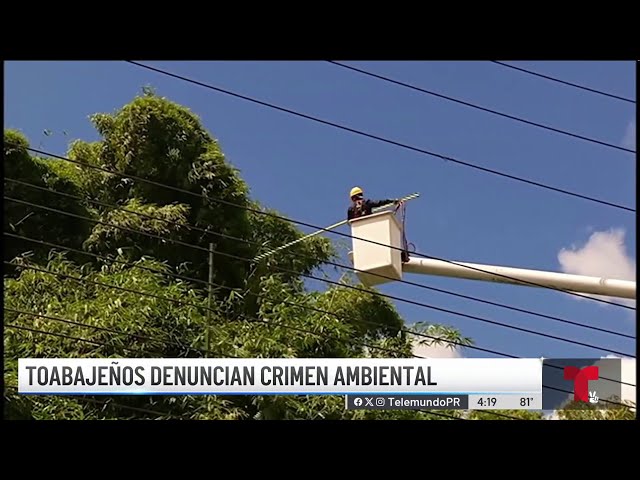 Denuncian supuesta "masacre ambiental" de LUMA Energy