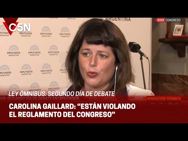 CAROLINA GAILLARD habló con C5N en el SEGUNDO DÍA de DEBATE por la LEY ÓMNIBUS