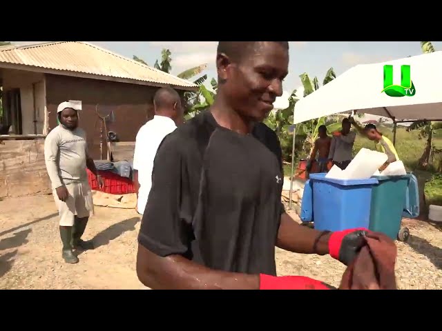 ⁣AYEKOO: TILAPIA FARMING IS PROFITABLE - ELDER DONKOR