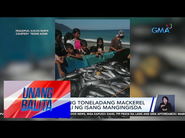 ⁣Mahigit isang toneladang mackerel tuna, nahuli ng isang mangingisda | UB