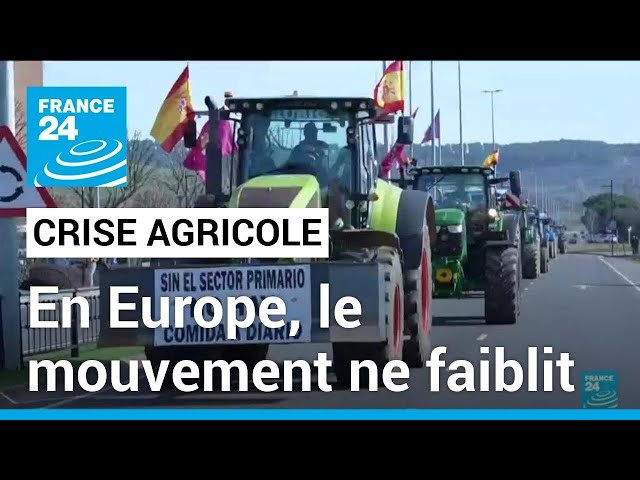 A travers l'Europe, le mouvement de contestation des agriculteurs ne faiblit pas • FRANCE 24