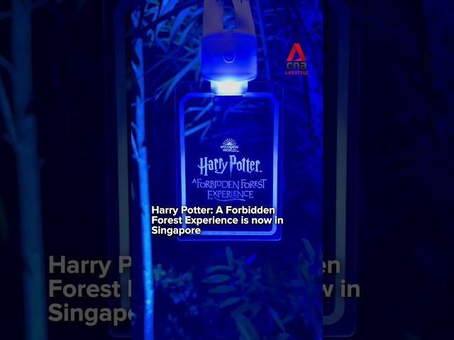 Harry Potter: A Forbidden Forest Experience in Singapore sneak peek