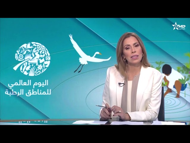 الأخبار الظهيرة الأولى 02/02/2024