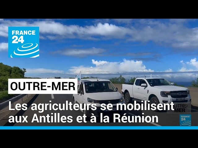 Les agriculteurs se mobilisent aux Antilles et à la Réunion • FRANCE 24