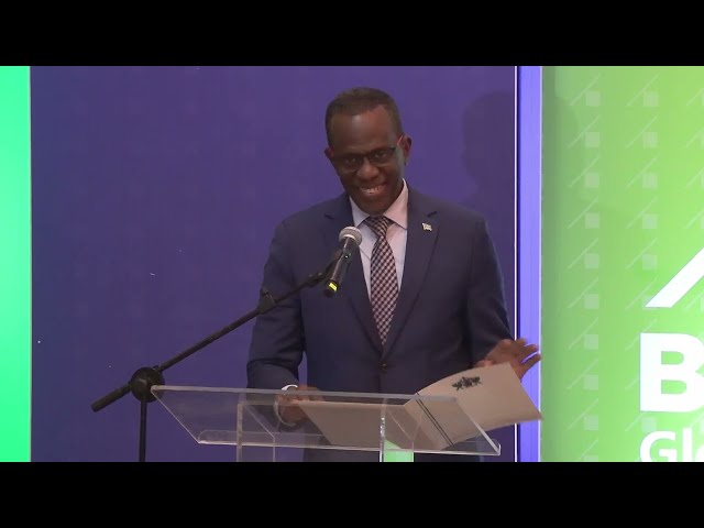 BOSL INVESTMENT FUND | HON. PHILIP J. PIERRE