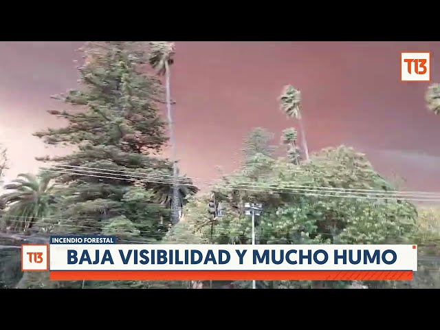 ⁣Baja visibilidad y mucho humo: El complejo escenario por incendio forestal en Ruta 68