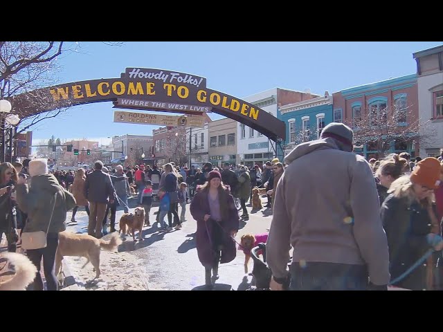 ⁣Some dog owners concerned about upcoming 4th annual Goldens in Golden with canine respiratory virus