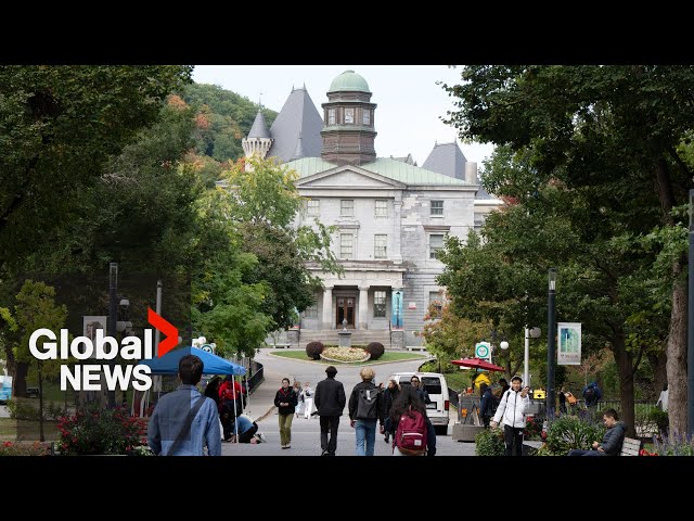 Recruiters downplaying tough realities for international students in Canada