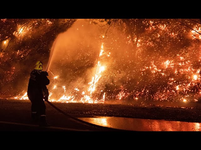 Chile wildfires consume the region amid heat alerts