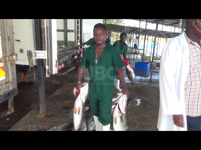 Relief to fishermen - No arrests until license renewal closes – Minister Adoa