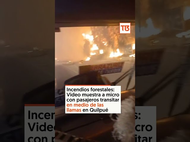 Incendios forestales: Video muestra a micro transitar en medio de las llamas en Quilpué