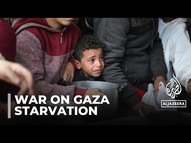 On the brink of starvation: Palestinians go hungry due to slow entry of aid