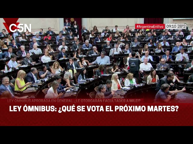 LEY ÓMNIBUS: ¿QUÉ se DEBATE el PRÓXIMO MARTES?