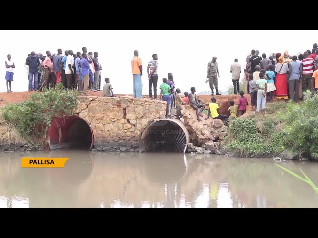 Pallisa, Butebo districts abandon Ayepei bridge maintenance