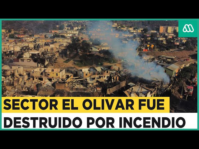 Catástrofe en Viña del Mar: Población El Olivar es consumida por el fuego