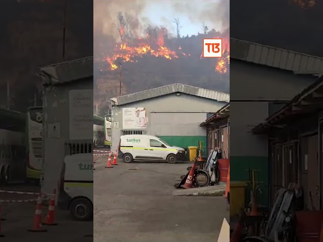 Fuego alcanza el sector El Salto de Viña del Mar