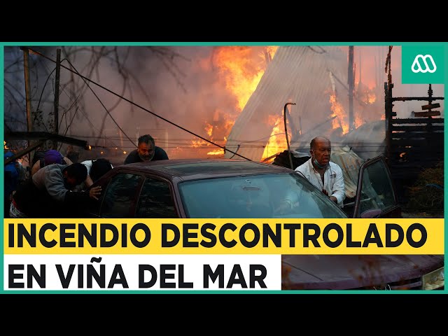 Catástrofe en la quinta Región: Incendio avanza sin control en Viña del Mar