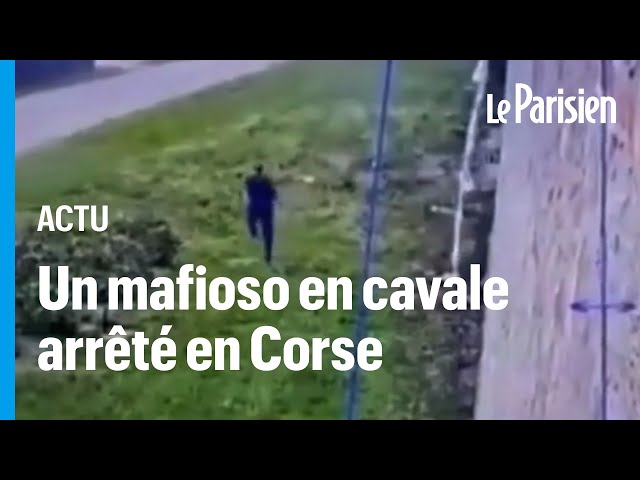 Le mafieux Marco Raduano arrêté en Corse, un an après son évasion spectaculaire