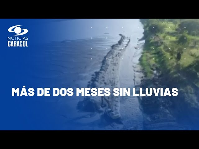 Río Magdalena se seca: ganaderos, agricultores y pescadores claman ayuda