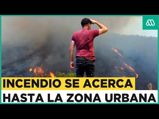 Incendio descontrolado en Quilpué avanza a zona urbana