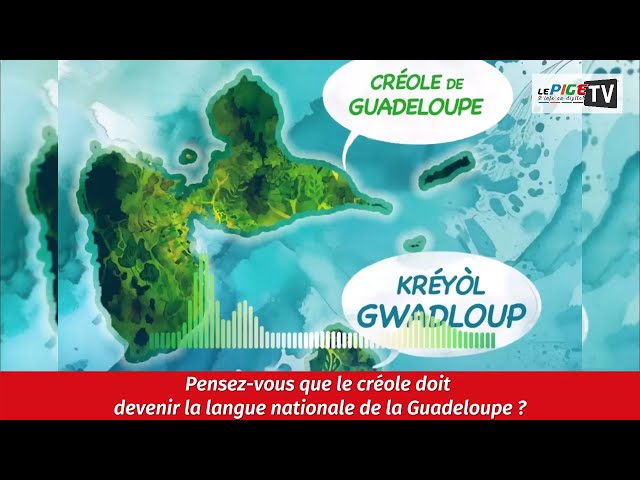 Pensez-vous que le créole doit devenir la langue nationale de la Guadeloupe ?