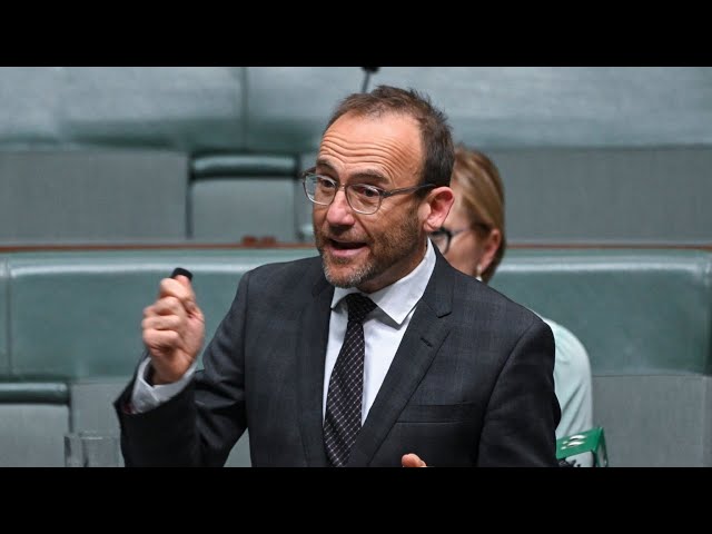 ‘Too much suffering’: Greens push Labor to ‘stop backing invasion’ of Gaza