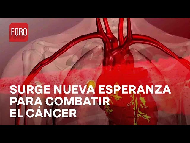 Martillos neumáticos moleculares, nueva esperanza para combatir el cáncer - Las Noticias