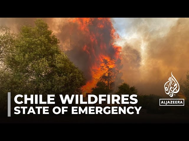 Chile declares state of emergency as dozens killed in forest fires