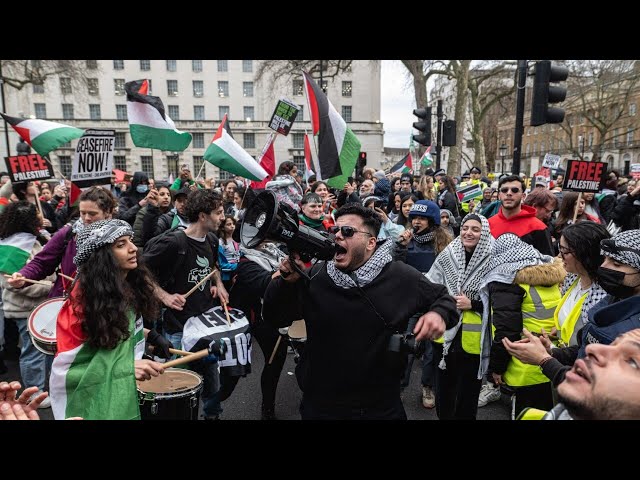 ‘Disgraceful’: Pro-Palestine protest in London facing backlash