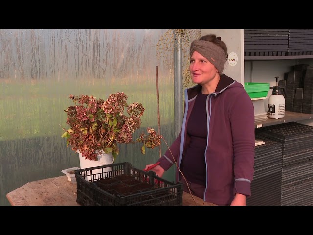 Une woofeuse sur l'Île d'Oléron