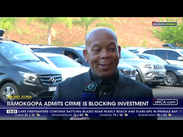 Ramokgopa admits crime is blocking investment