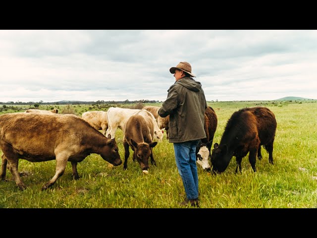 Regional Aussies to protest at parliament against renewable imposition on private land