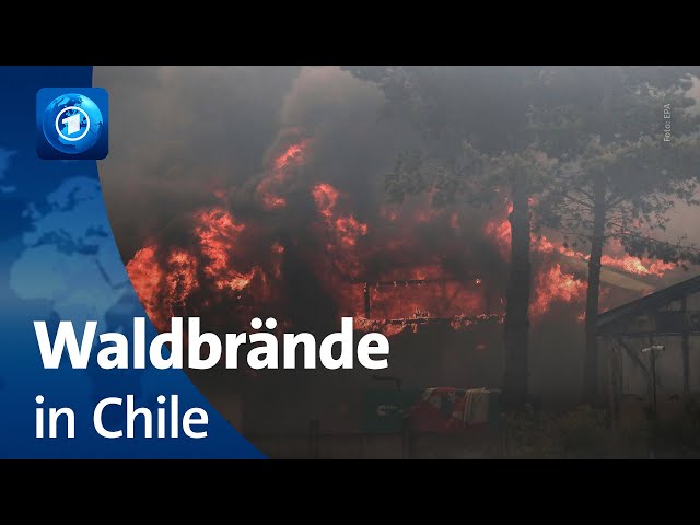 Waldbrände in Chile: mindestens 51 Tote