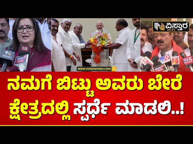 ಸಂಸದೆ ಸುಮಲತಾ ಮಂಡ್ಯದಲ್ಲೇ ನಿಲ್ತಿನಿ ಅಂದಿದ್ದಾರೆ! | Chaluvaraya Swamy About Sumalatha Ambareesh