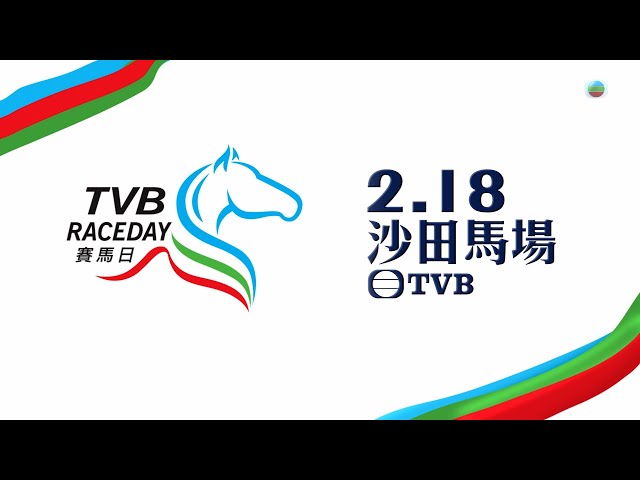 TVB賽馬日｜#賽馬 #沙田馬場