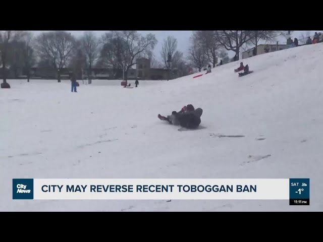 Toronto city council may reverse toboggan ban