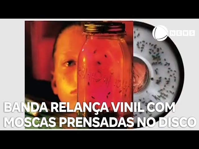 Banda relança vinil com moscas prensadas no disco