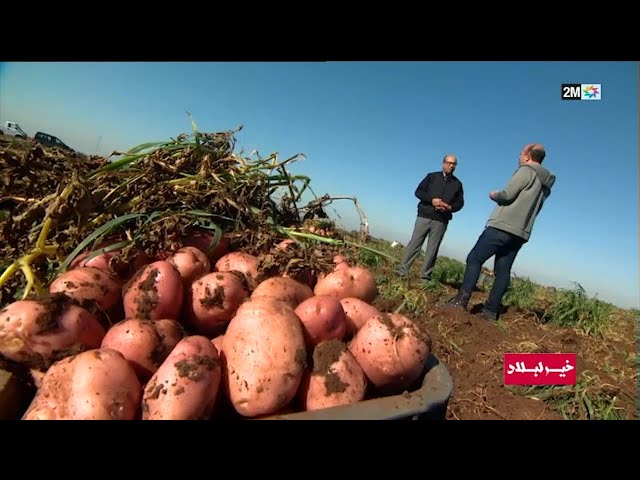 خير لبلاد : الأحد 04 فبراير 2024