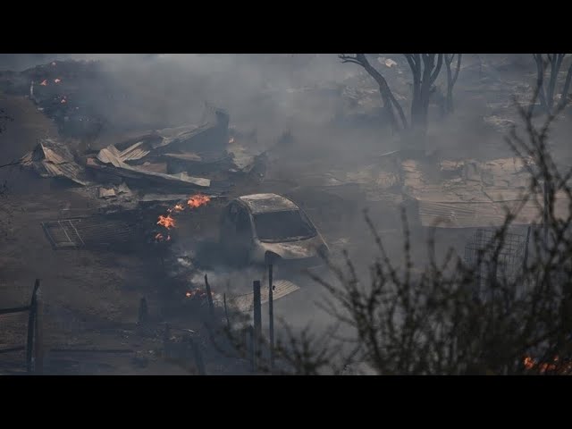 Feux de forêt au Chili : au moins 64 morts, le bilan risque encore de s'alourdir • FRANCE 24