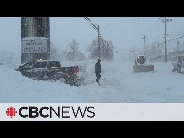 Cape Breton, N.S., declares state of emergency amid winter storm