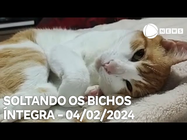 Soltando os Bichos - 04/02/2024