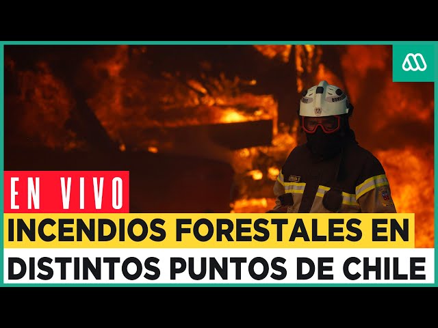 EN VIVO | Cobertura especial: Incendios forestales se activan en distintos puntos de Chile