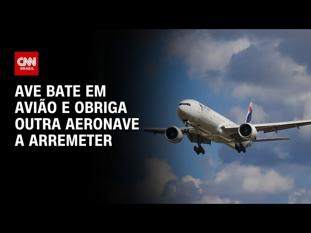 Ave bate em avião e obriga outra aeronave a arremeter | AGORA CNN