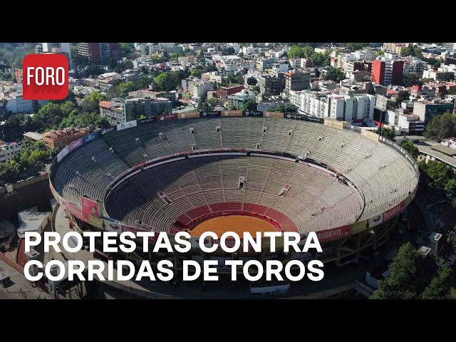 Continúan protestas en la Plaza México contra las corridas de toros - Las Noticias