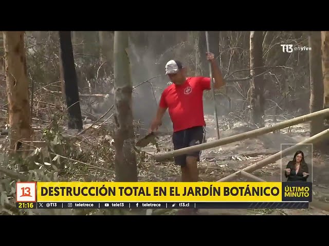 Destrucción total en el Jardín Botánico de Viña del Mar