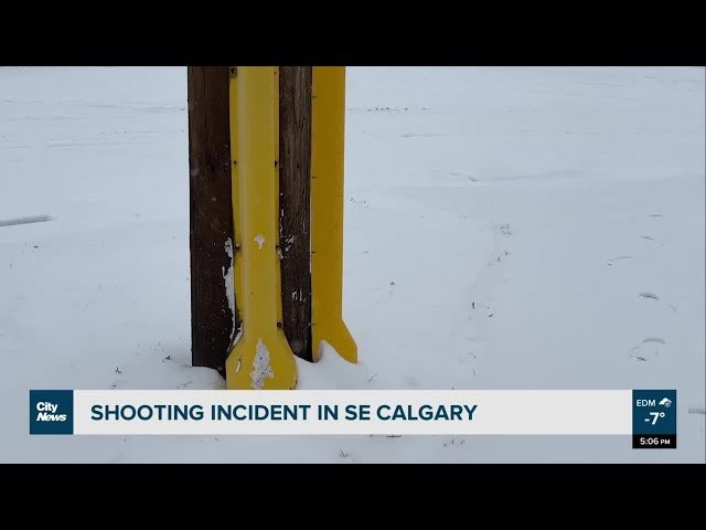 Shooting incident in SE Calgary